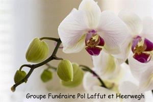 Photo 277251