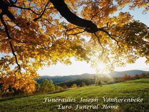 Photo 441874