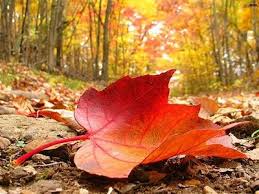 Photo 794524