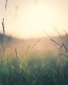 Photo 853273