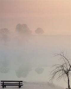 Photo 865564