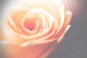 Photo 874618