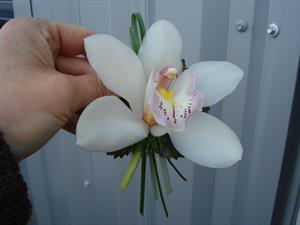 Photo 907116
