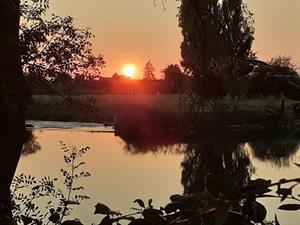 Photo 907363