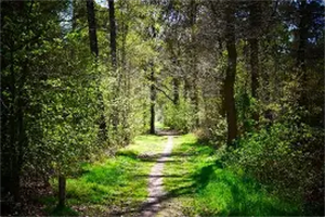 Photo 907452