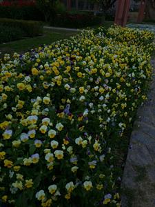 Photo 912285