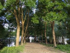 Photo 949069