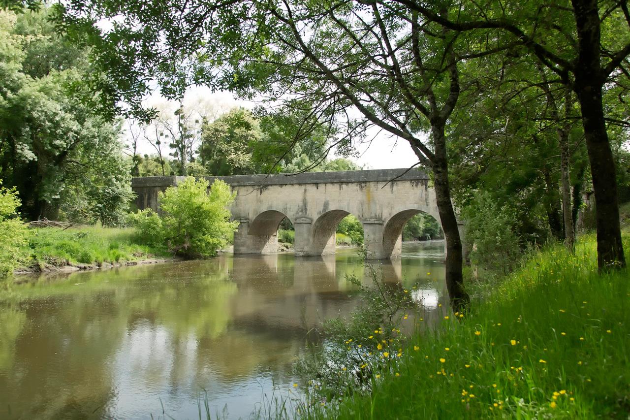 Photo 957921