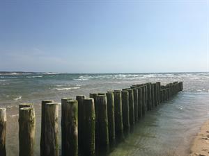Photo 961365