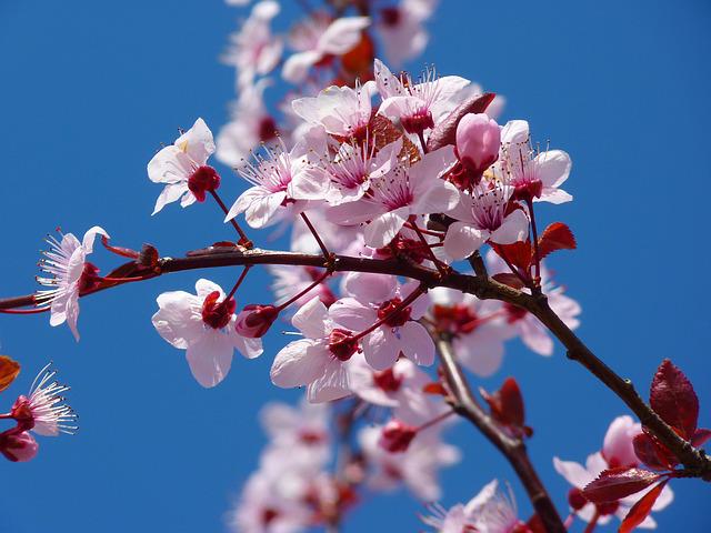 Photo 963159