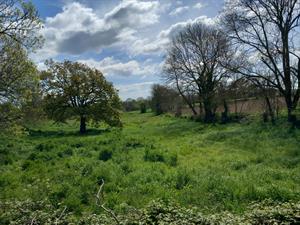 Photo 964564