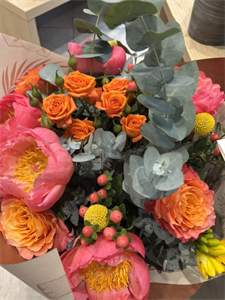 Photo 968871