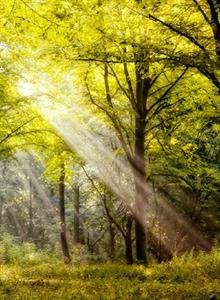 Photo 975448