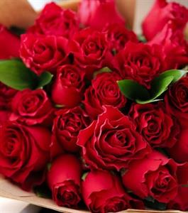 Photo 975634