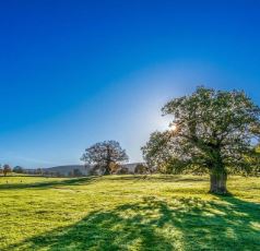 Photo 976309