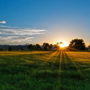 Photo 978164