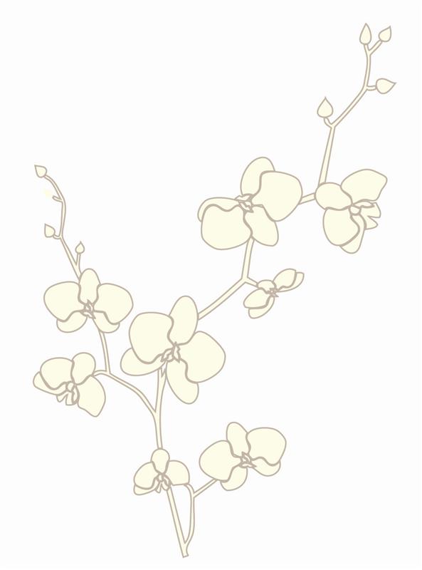 VIRGO Trelissac